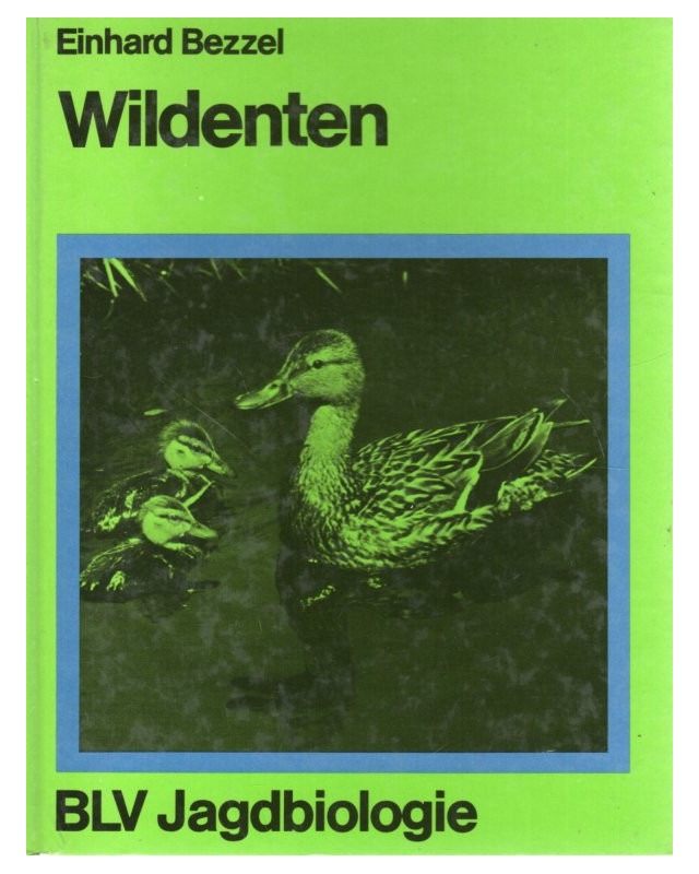 Wildenten