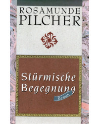 Stürmische Begegnung
