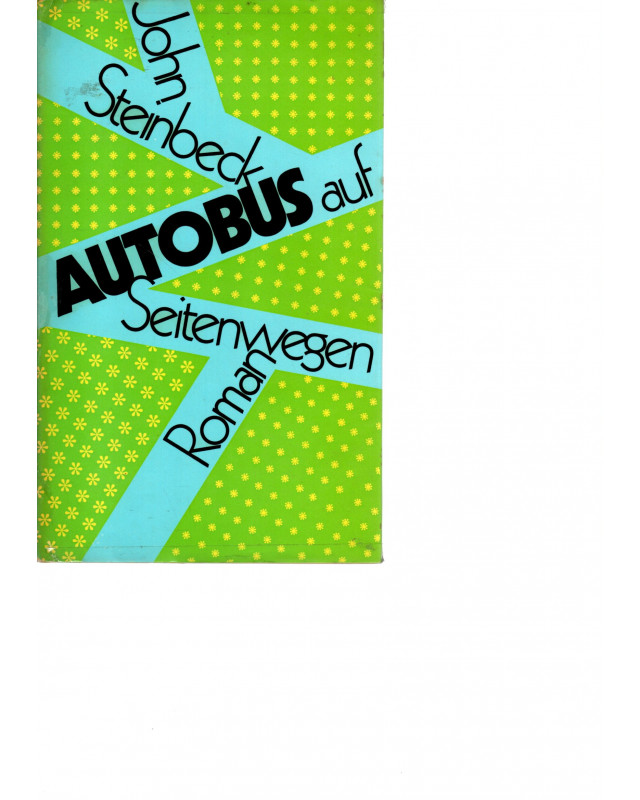 Autobus auf Seitenwegen - Roman