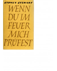 Wenn du im Feuer mich prüfest