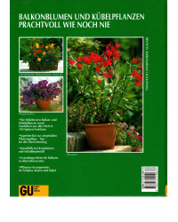 So blühen sie am schönsten... - Balkon und Kübelpflanzen