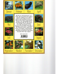 Der Bio-Garten im Jahreslauf - Die wichtigsten Arbeiten Monat für Monat