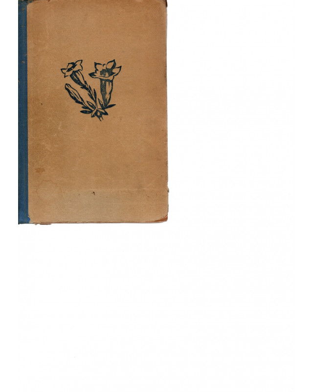 Pflanzenbilder aus den Ostalpen