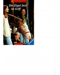 Reiterhof Pinne Hollow - Die Zügel fest im Griff - Band 3 - Tb