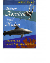 Unter Korallen und Haien