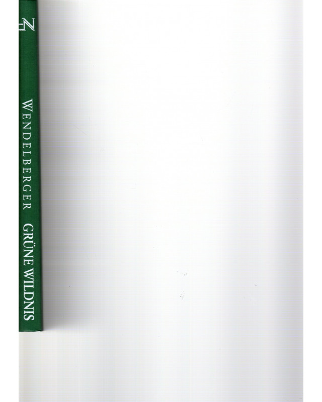 Grüne Wildnis am großen Strom