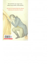 Johann Wolfgang Goethe - Die Leiden des jungen Werther - Taschenbuch