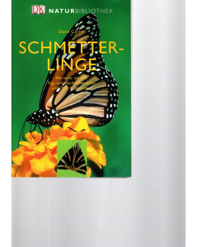 Schmetterlinge