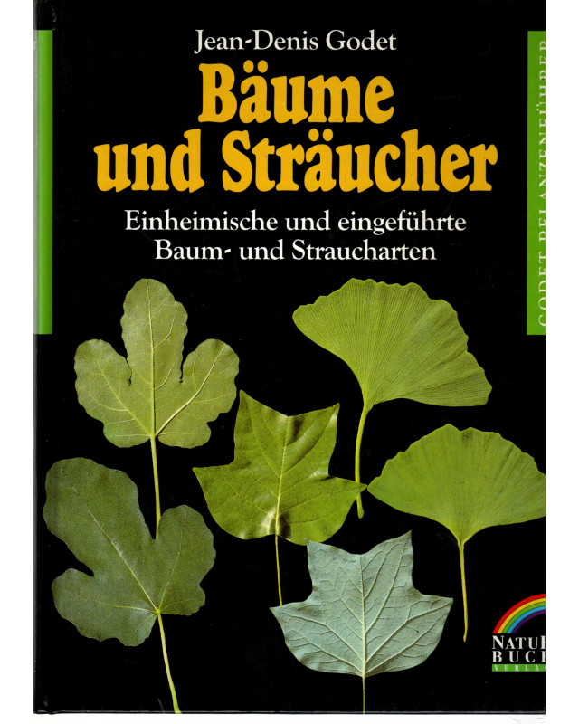 10 Stabile Baumhalter & Pflanzenstützen – Verstellbar, Wetterfest, Für Junge Bäume & Sträucher (600 Mm, Schwarz)