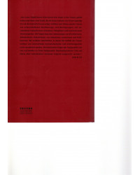 Linzer Stadtführerin