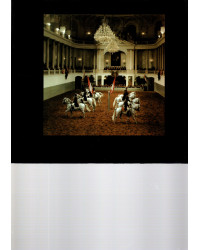 Lipizzaner und Spanische Reitschule