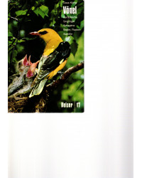 Europäische Vögel - Ziegenmelker, Segler, Racken, Spechte, Sperlingsvögel - Band 1