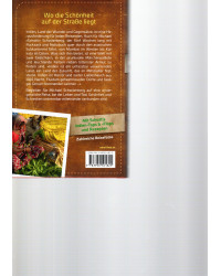 Von Menschen, Märchen & Moguln - Unterwegs in Indien