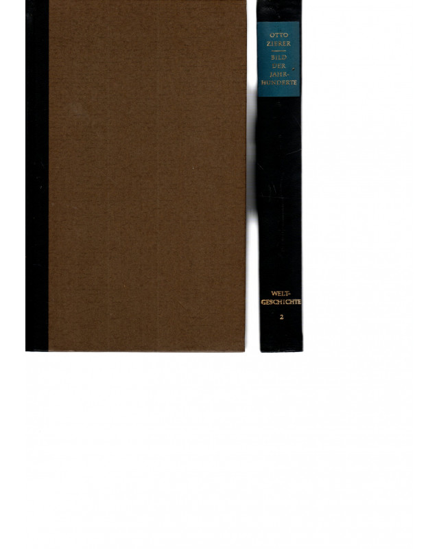 Bild der Jahrhunderte - Weltgeschichte 2