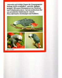 Der Graupapagei - Anschaffung, Eingewöhnung, Pflege, Ernährung, Krankheiten