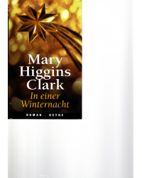 In einer Winternacht - Roman