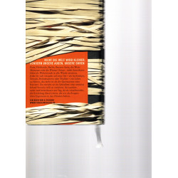 Als ich aus der Welt verschwand