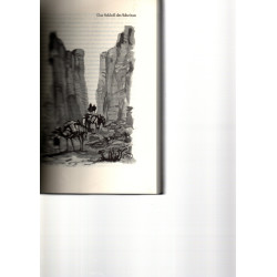 Durch die sengende Glut der Sahara