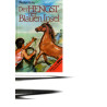 Der Hengst der blauen Insel