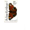Schmetterlinge