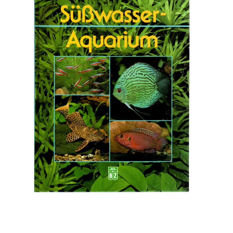 Weiße Flecken an der Wand