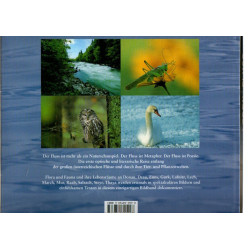 Die Nacht der Wölfin