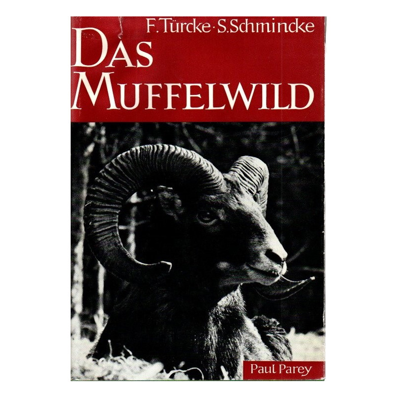 Das Muffelwild