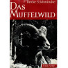 Das Muffelwild