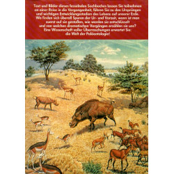 Rätsel der Urzeit - Das Buch der Paläontologie