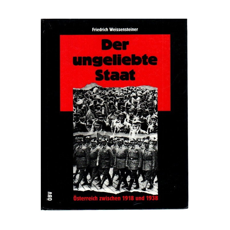 Der ungeliebte Staat