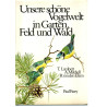 Unsere schöne Vogelwelt in Garten, Feld und Wald