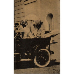 Das Geheimnis von Sarajevo