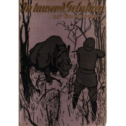 In tausend Gefahren - Eine Geschichte aus Ostasien der Jugend erzählt