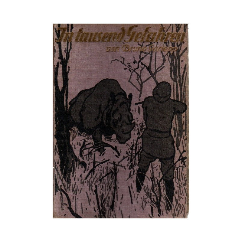 In tausend Gefahren - Eine Geschichte aus Ostasien der Jugend erzählt