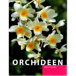 Orchideen