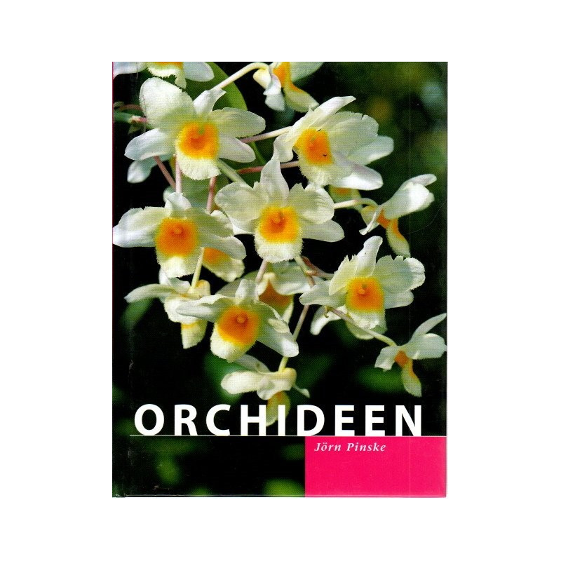 Orchideen