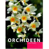 Orchideen