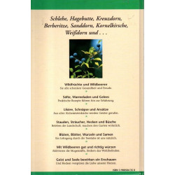 Kräuterpfarrer Hermann Josef Weidinger - Hollerbusch, Kranewitt und Haselnuß - Das Heckenbuch des Kräuterpfarrers