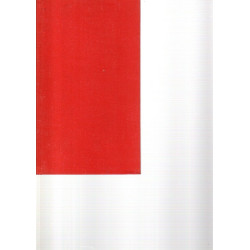 Die Piraten von Flundernheide