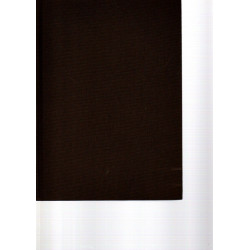 Kundschafter am St.-Lorenz-Strom