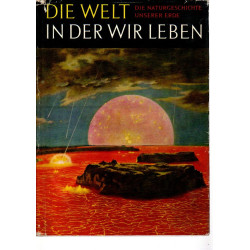Die Welt in der wir leben