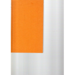 Zauber früher Jahre - Roman