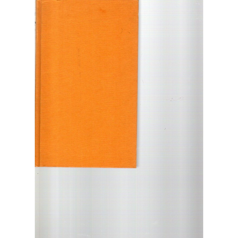 Zauber früher Jahre - Roman