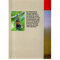 Erstaunliche Instinkte der Tiere