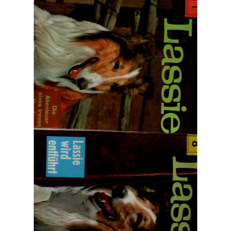 Lassie kehrt zurück