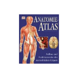 Anatomie-Atlas