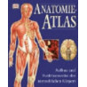 Anatomie-Atlas