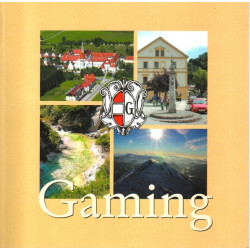 Gaming - Eine kleine Orts-Chronik