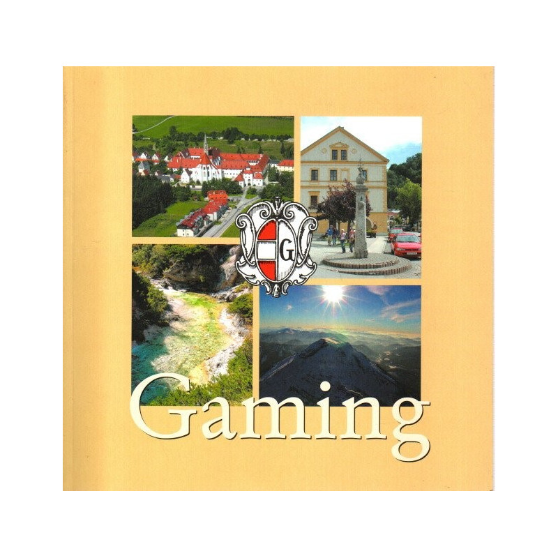 Gaming - Eine kleine Orts-Chronik