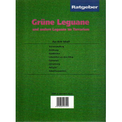 Grüne Leguane und andere Leguane im Terrarium - Ratgeber